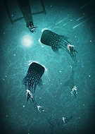 2018-09-11/84c2fe175b12fbdf6b61f09f3efa68ce_d89a6a53d681f457b57b46a4a4ac965f