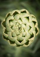 2018-09-13/59d8db970e15b1034e9751c83cc8a8b5_731a104c8dd996a27716e216767ea642