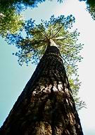 2018-09-14/b4d35fb9a996510dca8ffb28e45b3c45_99116b5ffb20e1562114d49427959f5e