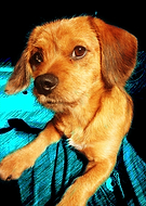 2018-09-15/59cc5073f6a6ce9f636c17a3a5f7efb8_b24477e1fc8e3c6e7418d232f00333dc