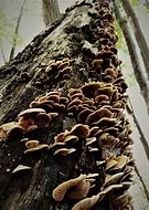 2018-09-18/22318e2c4aca82422fd05a470b32b53f_024cb4932c5a0ccce793c6a7111bafa0