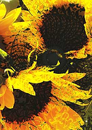 2018-09-18/2f7f655a87b95b5e30b3eb1b41f663e1_2aa033c0f5fc459d7bb50c830e854a1b