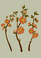 2018-09-18/ff5209b92e678ea36402a592776d740f_2458fc11a799d3f9db9f5131ce0f67c3