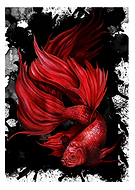 2018-09-21/22042d44681921bcf490a4f884641088_808f4544fb88f67a1603e2480b13f434