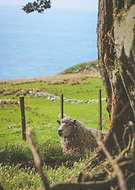 2018-09-21/510882df36342564bf7f5e44221bab2e_3dcc5131a30422c0e17c094e365c9e3d