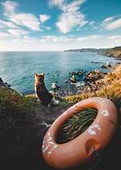 2018-09-22/6aaf3d557e5249ba09607cbb0fb58a04_505e91120aebd4c5e33f59ca11ee8949