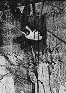 2018-09-23/139af98e3947ca60f261e1d41f7b9eb8_66bb501bd0ffe78f37fc2e22dc7b5de1