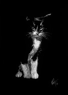 2018-09-23/269b9856927526ec385fd386a428f5f5_3769a025de499a0f13b958fc39f0f776