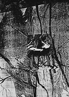 2018-09-23/562923c58e26aa701910b980f13f051a_c8db0e03c226c0caedb9cc96420b9349