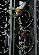 2018-09-23/6ea611e19dde6ac40869ed0682c75016_7867921ec45f6bdb8d5815b9669678a5