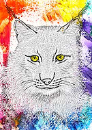 2018-09-25/0c63d5ea0cb687b3395c601f5eaad016_81071899f551c7cffefbbc0be37ec54d