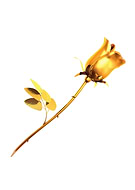 2018-09-25/422bb9d995804d0a529211db796a2246_f1dedc21da21fca0d49d062099cddc73