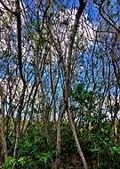 2018-09-25/8a46a4e6caa94cb73622b72647d66835_d2dc122037c03afa12014a25e6e46a59