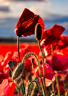 2018-09-26/2daedcecd56590c885b2f3998b0da9aa_57ef68054f5cefb1c5c1c38e82c39150