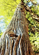 2018-09-29/266f6ba377b139135c72cba6706053a9_41d2d6ef22ffde39ed8da553965cb7bc