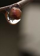 2018-09-29/3c5002c8f22f1bee0b6cd66c72cf88f5_a4f3dba1df0f7fcc3f530e5f89dbfa7b