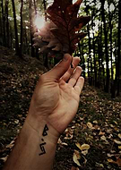 2018-09-30/4dc74a5e48272cf083aaefbc7f4c71a0_60798a5d44a4dd1ed1396801c343b938