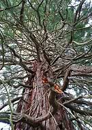 2018-09-30/b4279248616a8ababa4f7eb4eba04c65_adb2570f1edfd6a27e699692ffc67ff5