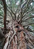 2018-10-01/1d9bab31202fdb40a8aaefa189468c51_575266e8a1c87ff2388a30f14273ee2f