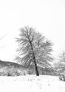 2018-10-01/bf71b1360a9a81ce7c598b4ca7274a32_a64de8d1d310324e1f5d7c85ae89afaa