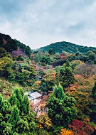 2018-10-03/667be57f46d03ef5afab1963d7118d7d_3c6bfda7c2555c0ba5f99fa160f09f00