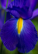 2018-10-04/e23e460ffa15a013ac97d194538595bb_2dc7c2529d8da536741e358e7a85e7d1