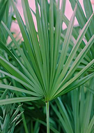 2018-10-06/e5693fcd400207916b143af8e9fa19a9_03fb9eb758924a98fb9492cb8742c3d3