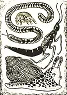 2018-10-09/3186f3784106c214fa09de4f12ee64d5_45ae053f1d2692a296636cf9b39ea727