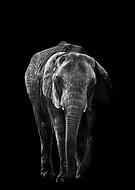 2018-10-11/50337233b670842da0c64fe772a86659_62127a82bd9c5b686a95d7c4f489d9f0