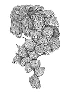 2018-10-14/d8726e1eb18c2a4d6cd09880c8d14d4a_cdf16eefedc445a2fbcf4d9c41e0a84d