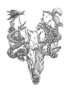 2018-10-14/f7e74e2affb77b9340374bb09d44b509_7225413a681c36e9000c4b366974c878