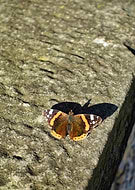 2018-10-15/404e7a022ff7195205084621c043df16_0d94e28a2a571026b3d4ffe7fe9c7fdd