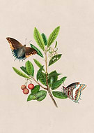 2018-10-15/9c626a4444b6c9ff5bb5cf0cce3ccb0e_16e6e4b844088498679909bac9af2371