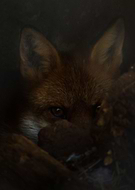 2018-10-20/010553ed5a381e963d97527a70f88ece_bb22424c90ce32388c8014b91878002b