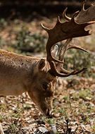 2018-10-20/755c290880aba49fe0524a892c99c0b0_7db9826a0feff25e6d2e91ea77f675ca