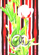 2018-10-22/6bb705e3471b5700b752c4bc808147e4_eb7a9a566d052127bb1e33172e72c291