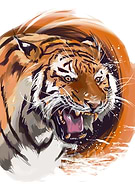 2018-10-22/f1c35582c745756c136161eb772ec42c_866f4c26388b2da66463cf4fffe4db6b