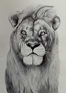 2018-10-23/444a740b82b7fb242dac2a090a200395_72faf0b25fe69f45f27e8cc75520efe6