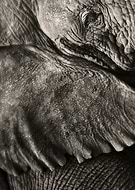 2018-10-23/8999627c16755a4049b36f079e1d6171_595f97532fcd58af18f0b9ef7101cf95