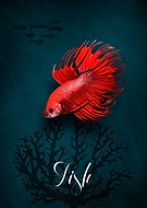 2018-10-24/462a31a5acc0b93107f4e93cd8cb9920_fad43a6c642d1a04d1b48370f99af8ef