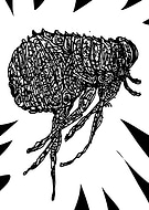 2018-10-25/e821bc8ef323ef40498d4f887f57687f_204432776d4d30b21f305be2ceb70f74