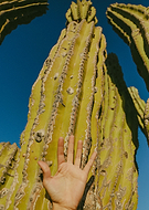 2018-10-26/aabd640e0da08ebcda6678345cd7da72_0860f93b0a2a18d1307807d052be1b4e