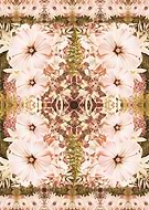 2018-10-26/fa8a32c77d9c11d901018a94a35e4a61_7a3ebadf807170caabbbe9511446dec5