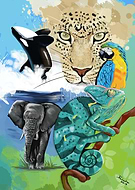 2018-10-30/1786a70b725a3095f0fcd2d64b411c02_ce1dd5fdbbc618159eac8520be977721