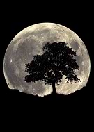 2018-10-31/6d4963a5f9f34addf1faad83e030c3b9_e1fd366e93ec3a5e7253579d5afeab8a