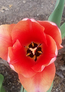 2018-10-31/8d987e7cf858939fcf4926ac801ab5a9_8eb6cd09b9fcca0797017da3fae27746