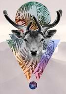 2018-11-03/2b4575860affb08115a65face1b1198c_752dfc4601503ab34a997e622c98c3b3