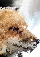 2018-11-03/9966d56a1888d8c2b2b6ece01dcd1db0_36b24c95b8b360c05a25dfcd82ff8c11