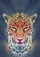 2018-11-03/aaf1032315aa5efe903c81291625685d_7c01c8627defe2fa67c0756ea612b244