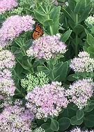 2018-11-03/d7b4d405089bda70a3c2bb69bd47ffa8_eff6554e2a2a7013a9b27b6ca5a74b28